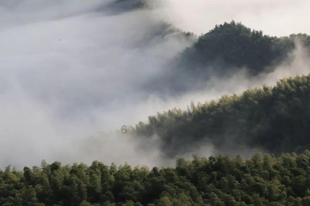 探讨天涯热点话题,尽在为什么会发生山体滑坡?问答平台!
